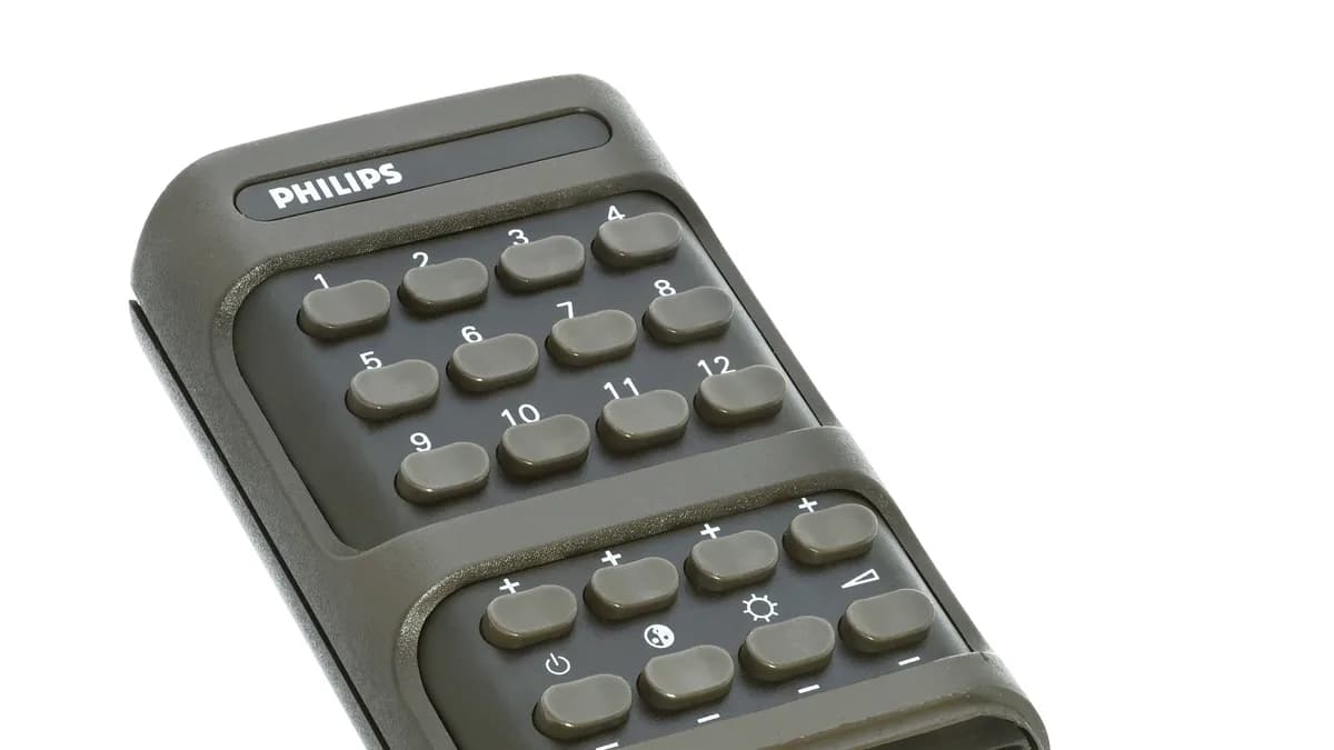 Television remote control used to access the program guide