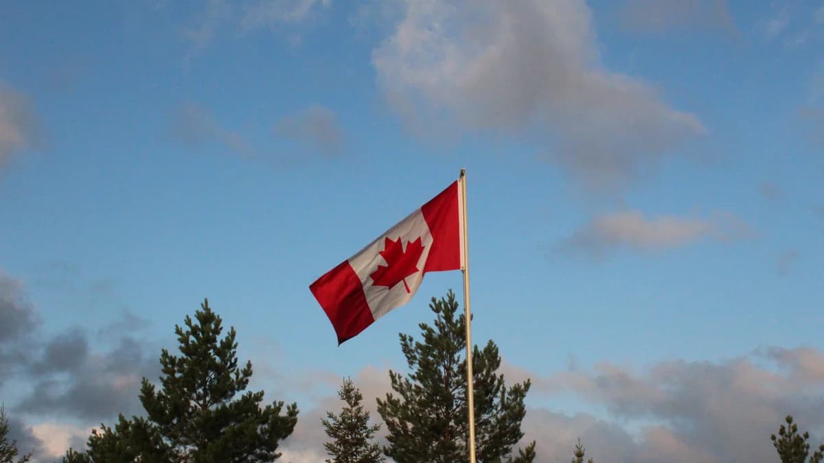 The flag of Canada waving on a flagpole above evergreen trees at sunrise